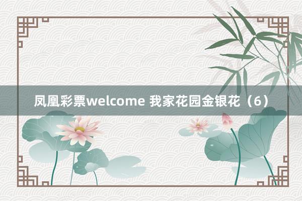 凤凰彩票welcome 我家花园金银花（6）