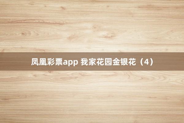 凤凰彩票app 我家花园金银花（4）