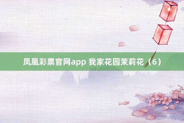 凤凰彩票官网app 我家花园茉莉花（6）