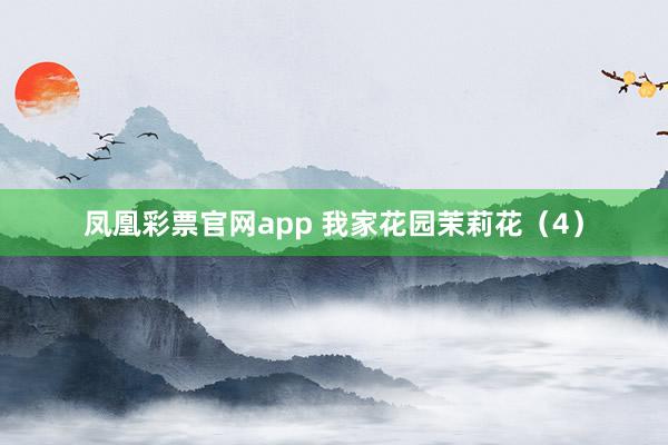 凤凰彩票官网app 我家花园茉莉花（4）