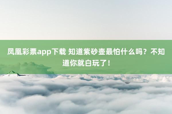 凤凰彩票app下载 知道紫砂壶最怕什么吗？不知道你就白玩了！