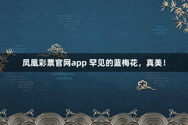 凤凰彩票官网app 罕见的蓝梅花,真美!