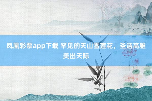 凤凰彩票app下载 罕见的天山雪莲花，圣洁高雅美出天际