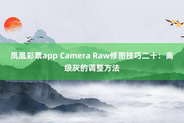 凤凰彩票app Camera Raw修图技巧二十：高级灰的调整方法