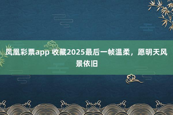 凤凰彩票app 收藏2025最后一帧温柔，愿明天风景依旧