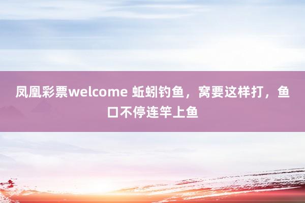 凤凰彩票welcome 蚯蚓钓鱼，窝要这样打，鱼口不停连竿上鱼