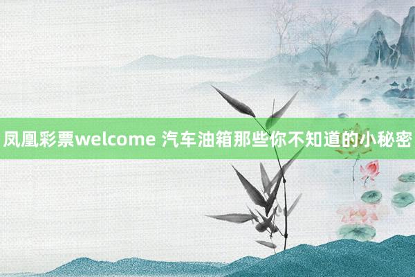凤凰彩票welcome 汽车油箱那些你不知道的小秘密