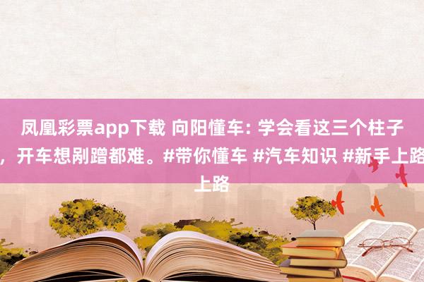 凤凰彩票app下载 向阳懂车: 学会看这三个柱子，开车想剐蹭都难。#带你懂车 #汽车知识 #新手上路