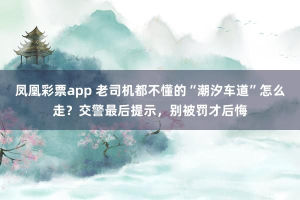 凤凰彩票app 老司机都不懂的“潮汐车道”怎么走？交警最后提示，别被罚才后悔