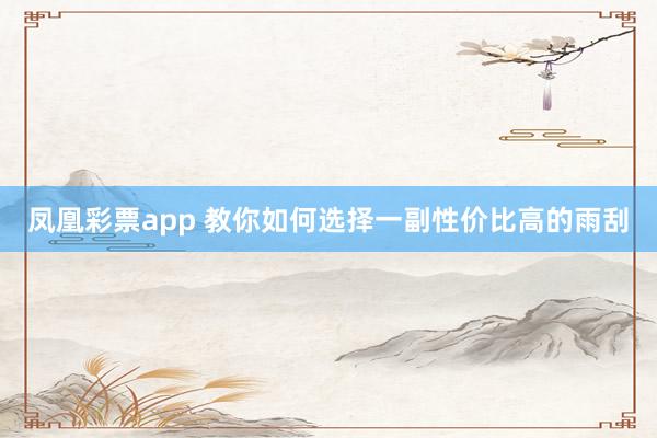 凤凰彩票app 教你如何选择一副性价比高的雨刮