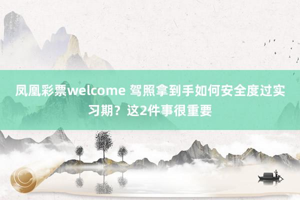 凤凰彩票welcome 驾照拿到手如何安全度过实习期？这2件事很重要