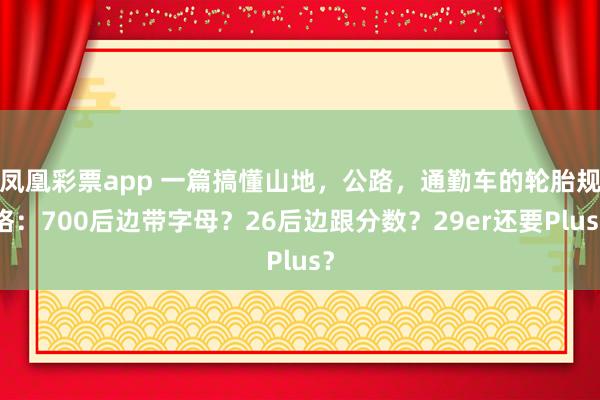 凤凰彩票app 一篇搞懂山地，公路，通勤车的轮胎规格：700后边带字母？26后边跟分数？29er还要Plus？
