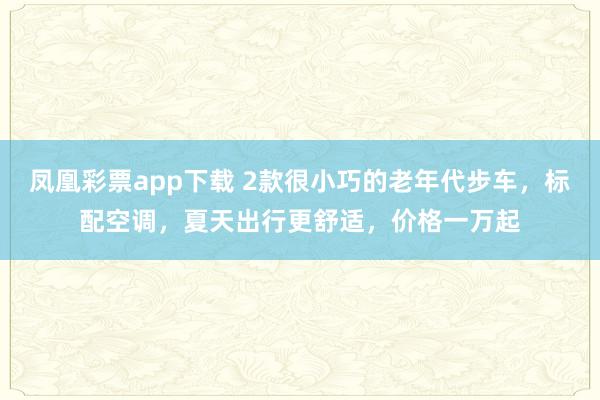 凤凰彩票app下载 2款很小巧的老年代步车，标配空调，夏天出行更舒适，价格一万起