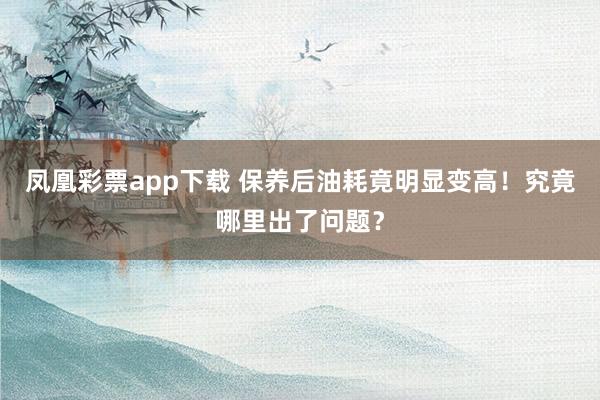 凤凰彩票app下载 保养后油耗竟明显变高！究竟哪里出了问题？