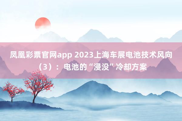 凤凰彩票官网app 2023上海车展电池技术风向（3）：电池的“浸没”冷却方案