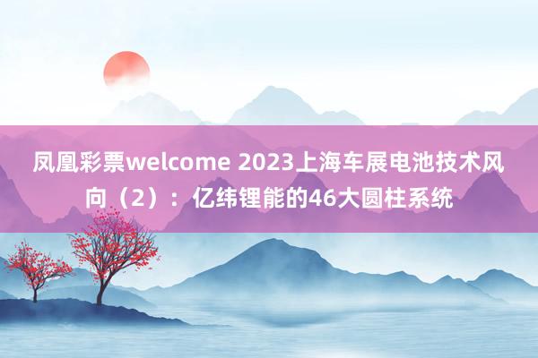凤凰彩票welcome 2023上海车展电池技术风向（2）：亿纬锂能的46大圆柱系统