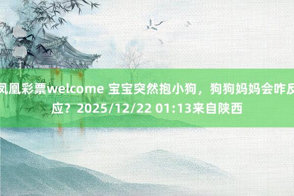 凤凰彩票welcome 宝宝突然抱小狗，狗狗妈妈会咋反应？2025/12/22 01:13来自陕西