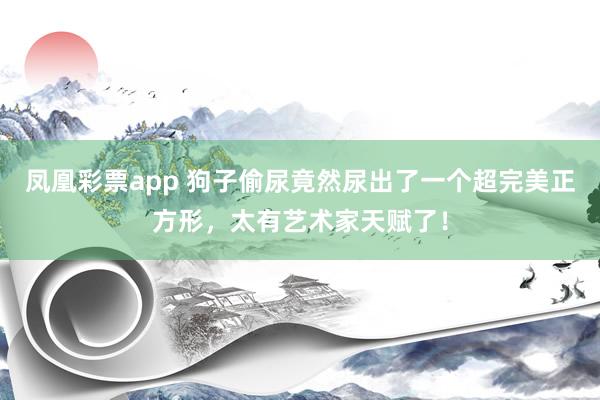 凤凰彩票app 狗子偷尿竟然尿出了一个超完美正方形，太有艺术家天赋了！