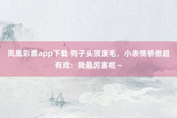 凤凰彩票app下载 狗子头顶废毛，小表情骄傲超有戏：我最厉害啦～