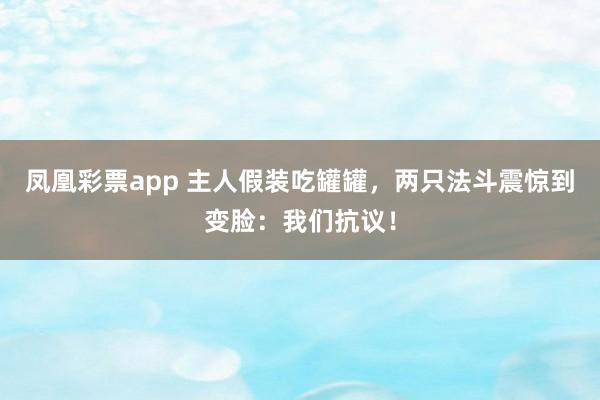凤凰彩票app 主人假装吃罐罐，两只法斗震惊到变脸：我们抗议！