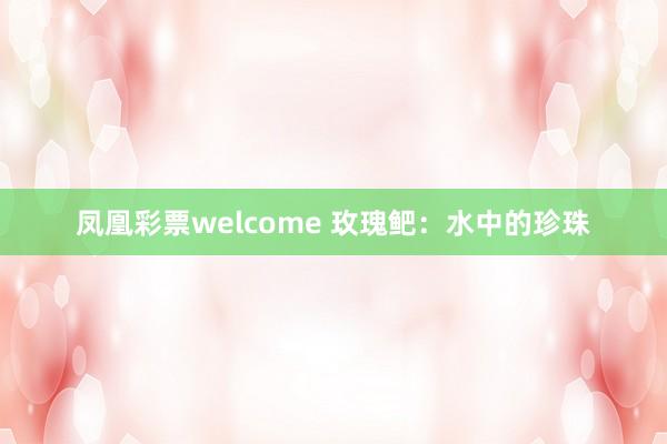 凤凰彩票welcome 玫瑰鲃：水中的珍珠