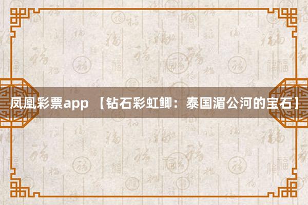 凤凰彩票app 【钻石彩虹鲫：泰国湄公河的宝石】