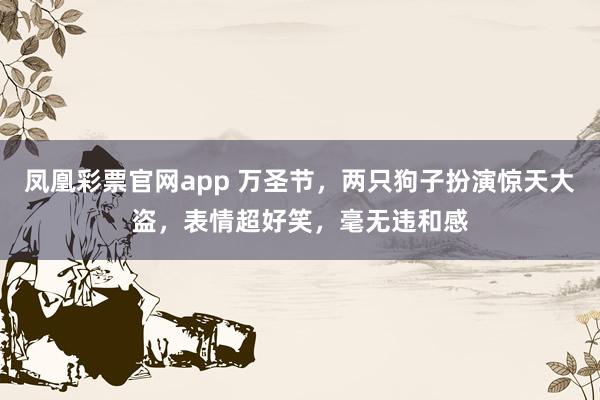 凤凰彩票官网app 万圣节，两只狗子扮演惊天大盗，表情超好笑，毫无违和感