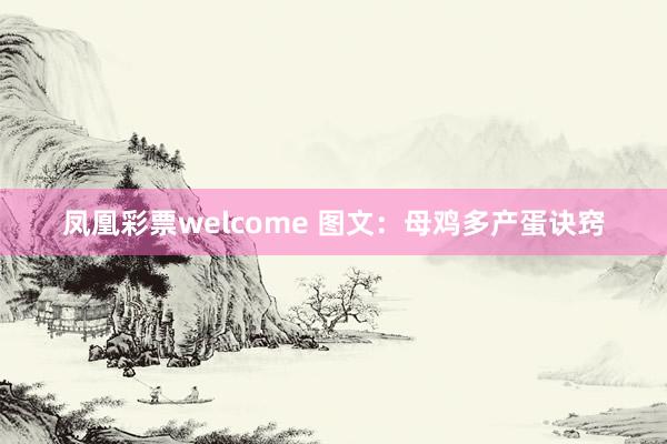 凤凰彩票welcome 图文：母鸡多产蛋诀窍