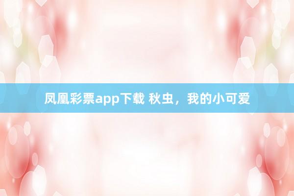 凤凰彩票app下载 秋虫,我的小可爱