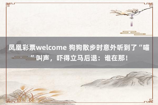 凤凰彩票welcome 狗狗散步时意外听到了“喵”叫声，吓得立马后退：谁在那！