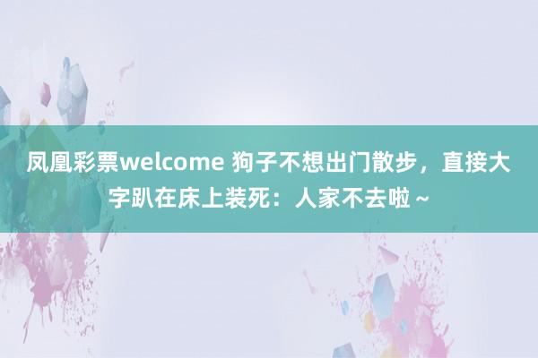 凤凰彩票welcome 狗子不想出门散步，直接大字趴在床上装死：人家不去啦～