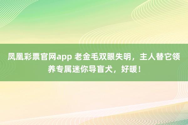 凤凰彩票官网app 老金毛双眼失明,主人替它领养专属迷你导盲犬,好暖!