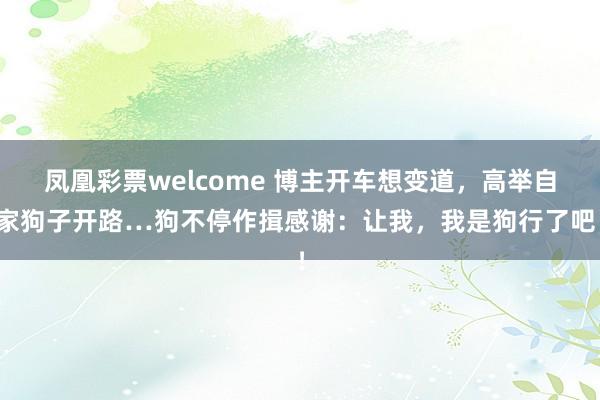 凤凰彩票welcome 博主开车想变道，高举自家狗子开路…狗不停作揖感谢：让我，我是狗行了吧！