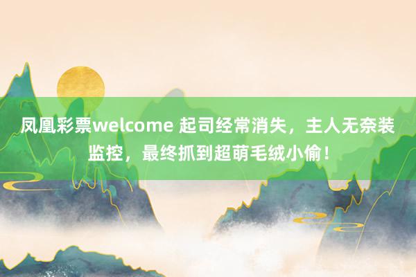 凤凰彩票welcome 起司经常消失,主人无奈装监控,最终抓到超萌毛绒小偷!