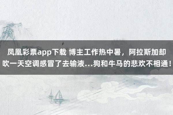 凤凰彩票app下载 博主工作热中暑，阿拉斯加却吹一天空调感冒了去输液…狗和牛马的悲欢不相通！