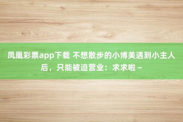 凤凰彩票app下载 不想散步的小博美遇到小主人后，只能被迫营业：求求啦～