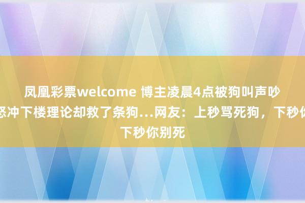 凤凰彩票welcome 博主凌晨4点被狗叫声吵醒,怒冲下楼理论却救了条狗…网友:上秒骂死狗,下秒你别死