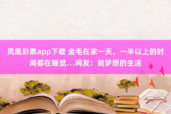凤凰彩票app下载 金毛在家一天，一半以上的时间都在睡觉…网友：我梦想的生活