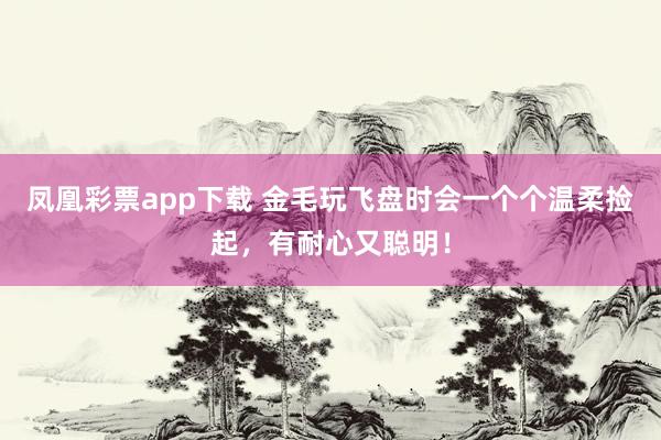 凤凰彩票app下载 金毛玩飞盘时会一个个温柔捡起，有耐心又聪明！