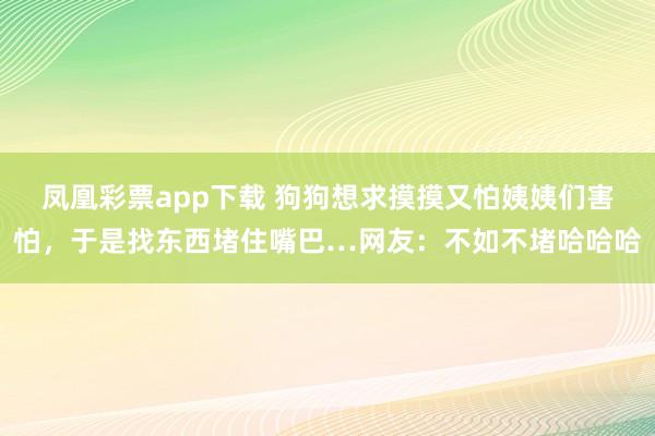 凤凰彩票app下载 狗狗想求摸摸又怕姨姨们害怕，于是找东西堵住嘴巴…网友：不如不堵哈哈哈