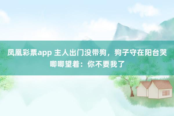 凤凰彩票app 主人出门没带狗，狗子守在阳台哭唧唧望着：你不要我了