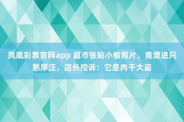 凤凰彩票官网app 超市张贴小偷照片，竟混进只憨厚汪，店长控诉：它是肉干大盗