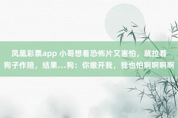 凤凰彩票app 小哥想看恐怖片又害怕,就拉着狗子作陪,结果…狗:你撒开我,我也怕啊啊啊啊