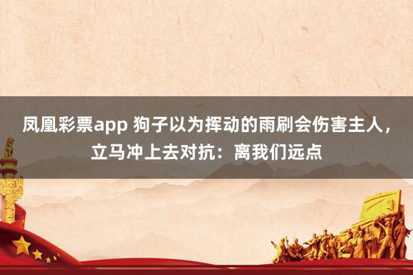 凤凰彩票app 狗子以为挥动的雨刷会伤害主人，立马冲上去对抗：离我们远点