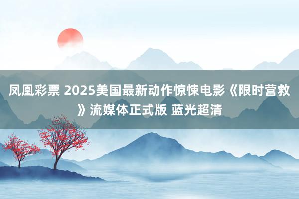 凤凰彩票 2025美国最新动作惊悚电影《限时营救》流媒体正式版 蓝光超清
