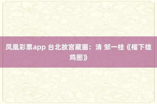 凤凰彩票app 台北故宫藏画：清 邹一桂《榴下雄鸡图》