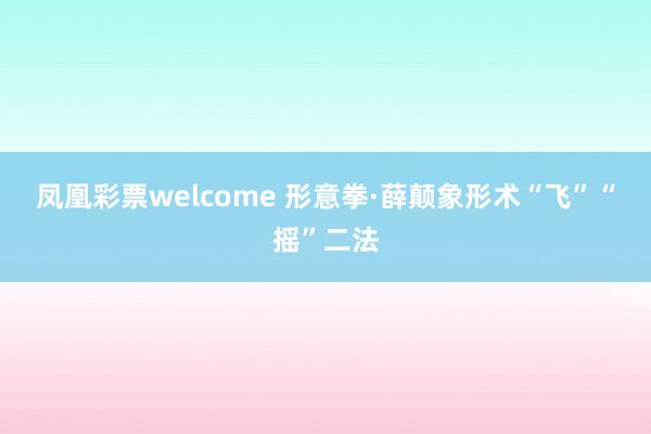 凤凰彩票welcome 形意拳·薛颠象形术“飞”“摇”二法