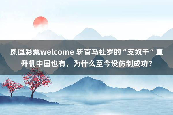 凤凰彩票welcome 斩首马杜罗的“支奴干”直升机中国也有，为什么至今没仿制成功？
