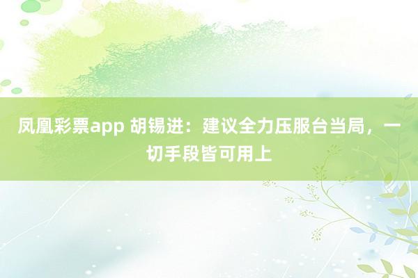 凤凰彩票app 胡锡进:建议全力压服台当局,一切手段皆可用上