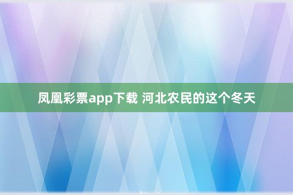 凤凰彩票app下载 河北农民的这个冬天